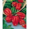 Paprika  štipľavá Habanero Red 