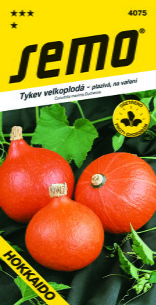 Tekvica plazivá Hokkaido Orange  S