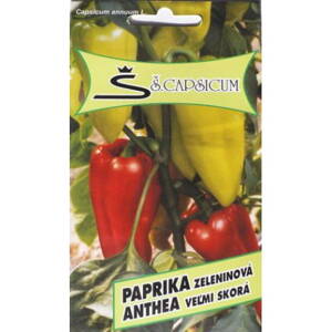 Paprika Anthea zeleninová veľmi skorá